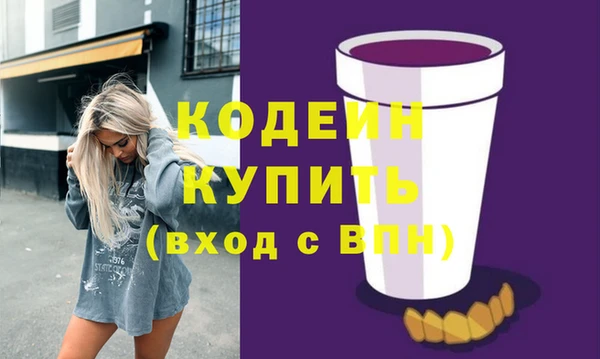 дживик Киренск