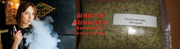 дживик Киренск