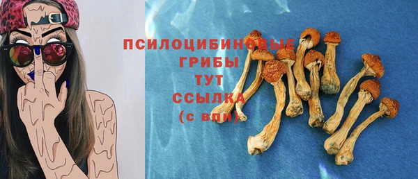 прущие грибы Киреевск