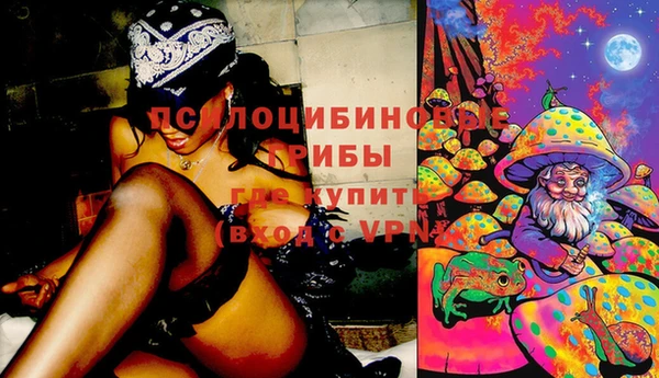 дживик Киренск