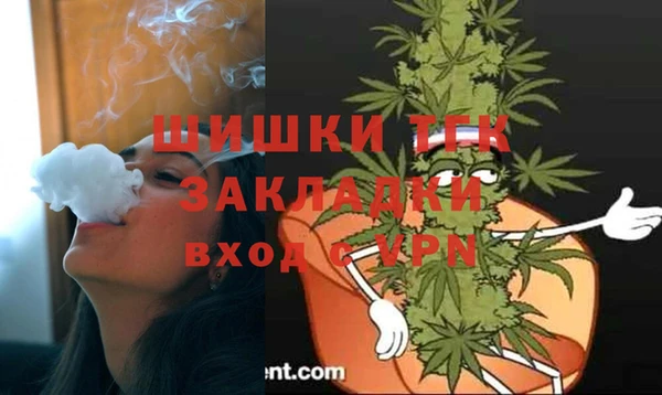 прущие грибы Киреевск